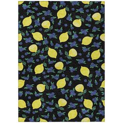 Machine Washable Indoor/Outdoor Chantille ACN2354 Black 8' x 10' Rug