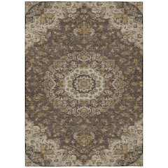 Machine Washable Indoor/Outdoor Chantille ACN2543 Brown 8' x 10' Rug