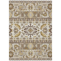 Machine Washable Indoor/Outdoor Chantille ACN2583 Brown 8' x 10' Rug
