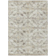 Machine Washable Indoor/Outdoor Chantille ACN2665 Brown 8' x 10' Rug