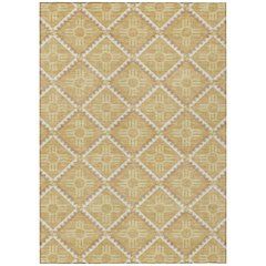 Machine Washable Indoor/Outdoor Chantille ACN2686 Gold 8' x 10' Rug