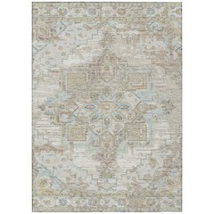 Machine Washable Indoor/Outdoor Chantille ACN2704 Ivory 8' x 10' Rug