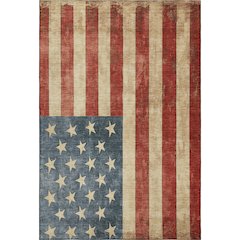 Machine Washable Indoor/Outdoor Americana Red 8' x 10' Rug