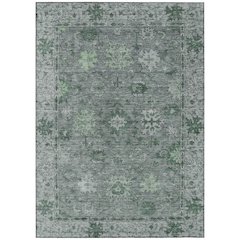 Machine Washable Indoor/Outdoor Chantille ACN2051 Aloe 9' x 12' Rug