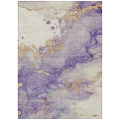 Machine Washable Indoor/Outdoor Chantille ACN2110 Purple 9' x 12' Rug