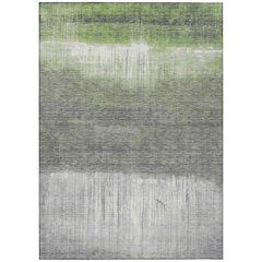 Machine Washable Indoor/Outdoor Chantille ACN2118 Fern 9' x 12' Rug