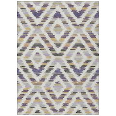 Machine Washable Indoor/Outdoor Chantille ACN2453 Purple 9' x 12' Rug