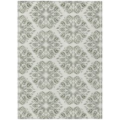 Machine Washable Indoor/Outdoor Chantille ACN2456 Green 9' x 12' Rug