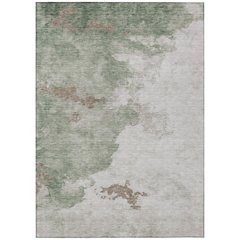 Machine Washable Indoor/Outdoor Chantille ACN2108 Aloe 10' x 14' Rug