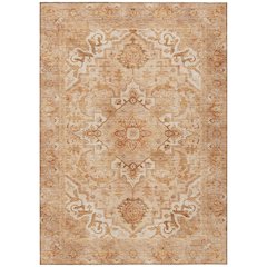 Machine Washable Indoor/Outdoor Chantille ACN2164 Copper 10' x 14' Rug