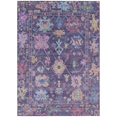 Machine Washable Indoor/Outdoor Chantille ACN2234 Purple 10' x 14' Rug