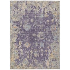 Machine Washable Indoor/Outdoor Chantille ACN2302 Purple 10' x 14' Rug