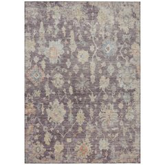 Machine Washable Indoor/Outdoor Chantille ACN2355 Purple 10' x 14' Rug