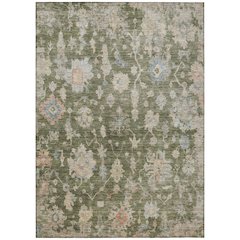Machine Washable Indoor/Outdoor Chantille ACN2355 Green 10' x 14' Rug