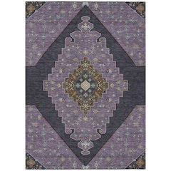 Machine Washable Indoor/Outdoor Chantille ACN2472 Purple 10' x 14' Rug