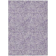 Machine Washable Indoor/Outdoor Chantille ACN2648 Purple 10' x 14' Rug