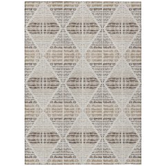 Machine Washable Indoor/Outdoor Chantille ACN2672 Ivory 10' x 14' Rug