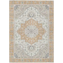 Machine Washable Indoor/Outdoor Chantille ACN2674 Orange 10' x 14' Rug