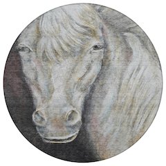 Machine Washable Indoor/Outdoor Chantille ACN2080 Ivory 8' x 8' Round Rug