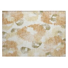 Machine Washable Indoor/Outdoor Chantille ACN2132 Coral 1'8" x 2'6" Rug