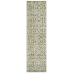 Machine Washable Indoor/Outdoor Chantille ACN2152 Sage 2'3" x 7'6" Runner Rug
