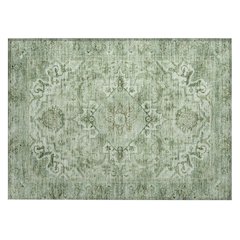 Machine Washable Indoor/Outdoor Chantille ACN2164 Aloe 1'8" x 2'6" Rug