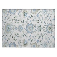 Machine Washable Indoor/Outdoor Chantille ACN2291 Ivory 1'8" x 2'6" Rug