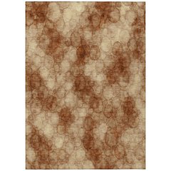 Machine Washable Indoor/Outdoor Chantille ACN2424 Orange 2'6" x 3'10" Rug