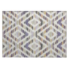 Machine Washable Indoor/Outdoor Chantille ACN2453 Purple 1'8" x 2'6" Rug