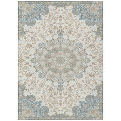 Machine Washable Indoor/Outdoor Chantille ACN2489 Ivory 2'6" x 3'10" Rug