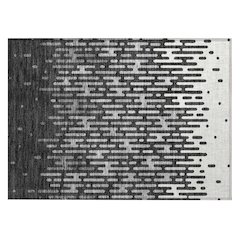 Machine Washable Indoor/Outdoor Chantille ACN2567 Black 1'8" x 2'6" Rug