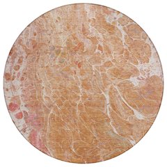 Machine Washable Indoor/Outdoor Chantille ACN2731 Orange 8' x 8' Round Rug