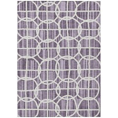 Machine Washable Indoor/Outdoor Chantille ACN2769 Purple 3' x 5' Rug
