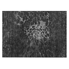 Chantille ACN652 Gray 1'8" x 2'6" Rug