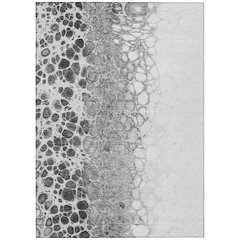 Chantille ACN707 Gray 2'6" x 3'10" Rug