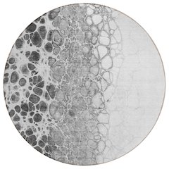 Chantille ACN707 Gray 8' x 8' Rug