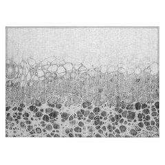 Chantille ACN707 Gray 1'8" x 2'6" Rug