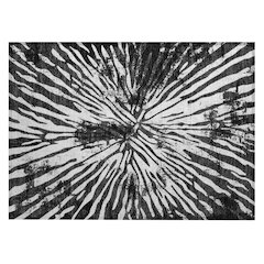 Chantille ACN818 Black 1'8" x 2'6" Rug