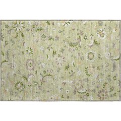 Premium Machine Washable Mayfield AMF1006 Aloe 1'8" x 2'6" Rug
