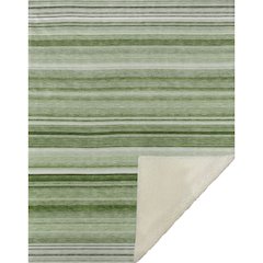 Premium Machine Washable ASB529 Aloe 50" x 70" Sherpa Throw Blanket