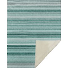 Premium Machine Washable ASB529 Aqua 50" x 70" Sherpa Throw Blanket