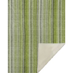 Premium Machine Washable ASB543 Green 50" x 70" Sherpa Throw Blanket