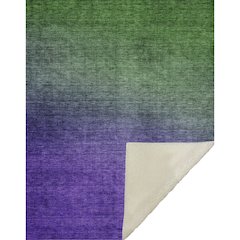Premium Machine Washable ASB587 Green 50" x 70" Sherpa Throw Blanket