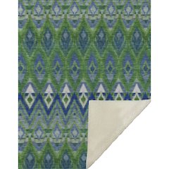 Premium Machine Washable ASB617 Green 50" x 70" Sherpa Throw Blanket