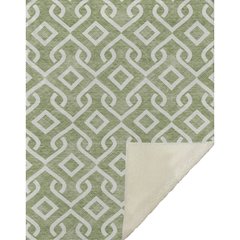 Premium Machine Washable ASB621 Green 50" x 70" Sherpa Throw Blanket