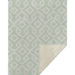 Premium Machine Washable ASB621 Mint 50" x 70" Sherpa Throw Blanket