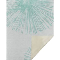 Premium Machine Washable ASB642 Teal 50" x 70" Sherpa Throw Blanket