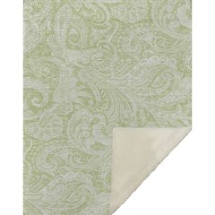 Premium Machine Washable ASB654 Aloe 50" x 70" Sherpa Throw Blanket