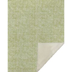 Premium Machine Washable ASB691 Aloe 50" x 70" Sherpa Throw Blanket