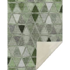 Premium Machine Washable ASB722 Aloe 50" x 70" Sherpa Throw Blanket